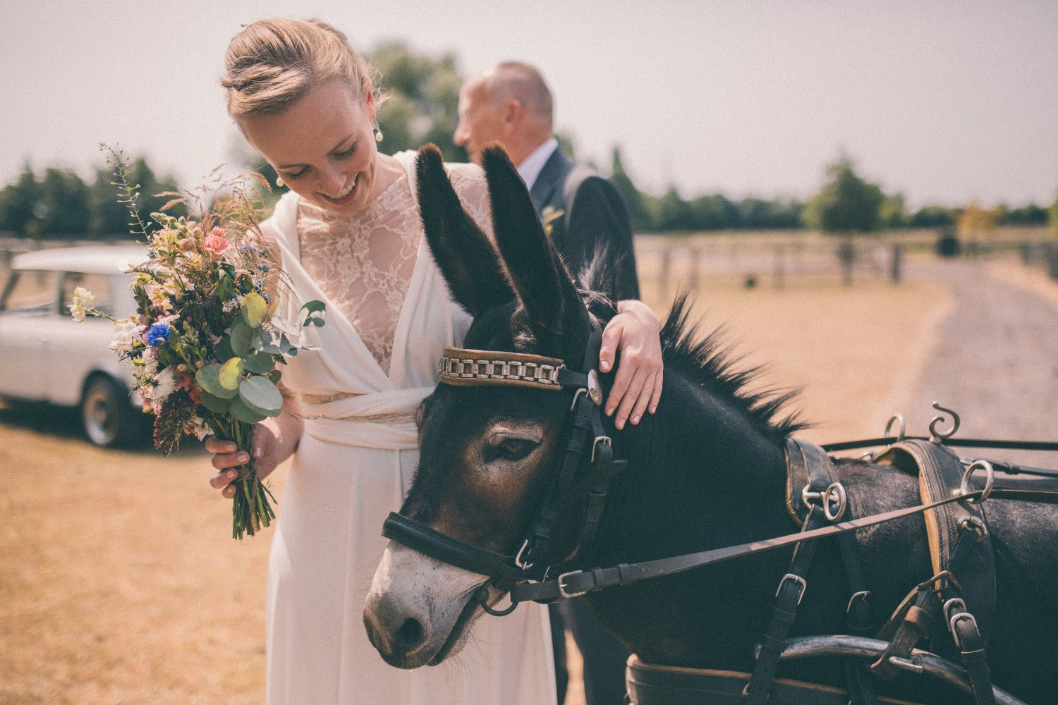 Animals at wedding