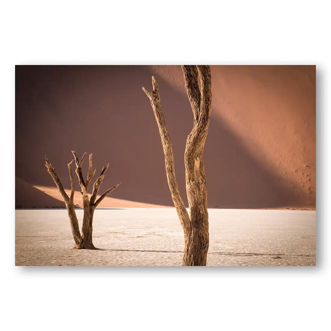 Desert Solitude Art Print