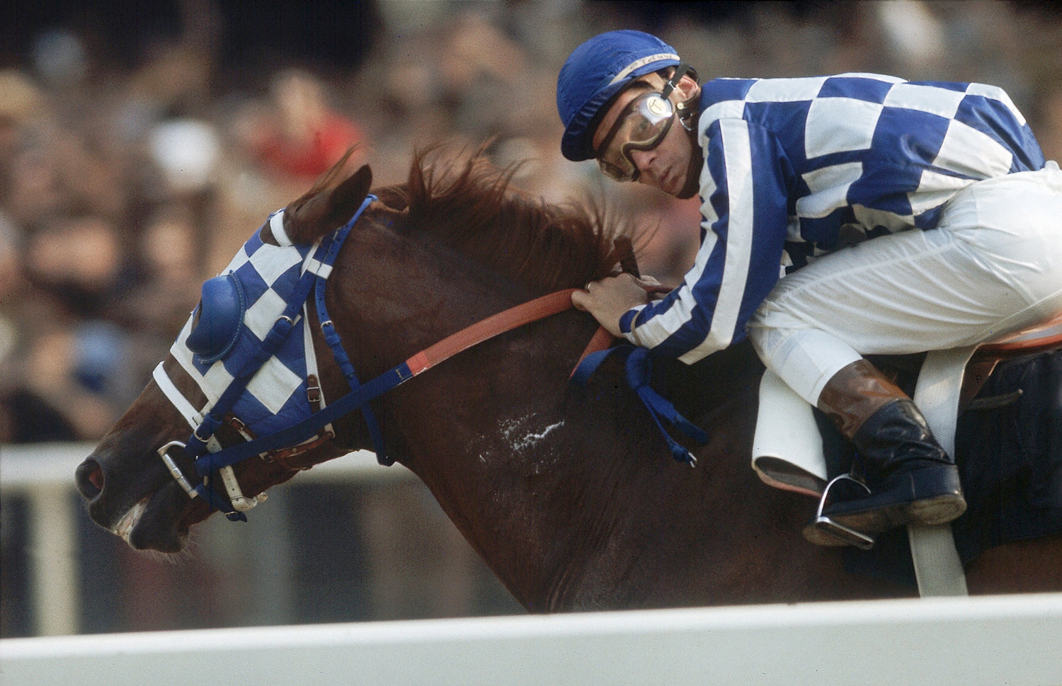 Secretariat at the Belmont Stakes Neil Leifer Photography