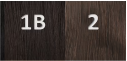 1B VS 2 hair color