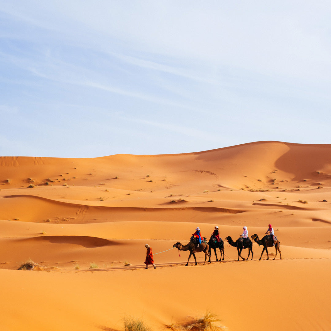 excursion al desierto desde Marrakech