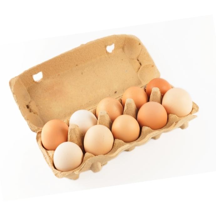 Voor type Rondsel Voorbereiding Biologische eieren 10 stuks – BioGroothandel.nl
