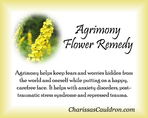 Agrimony