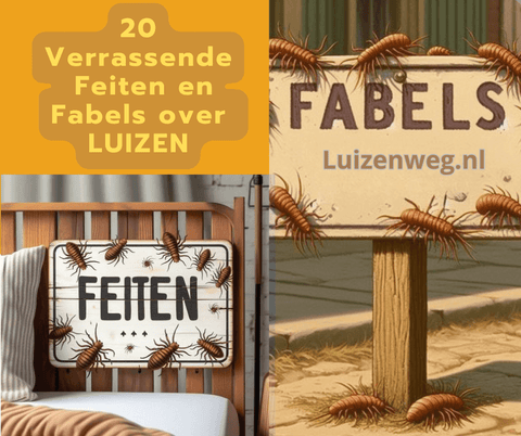 text on boards with 20 facts and fables about head lice