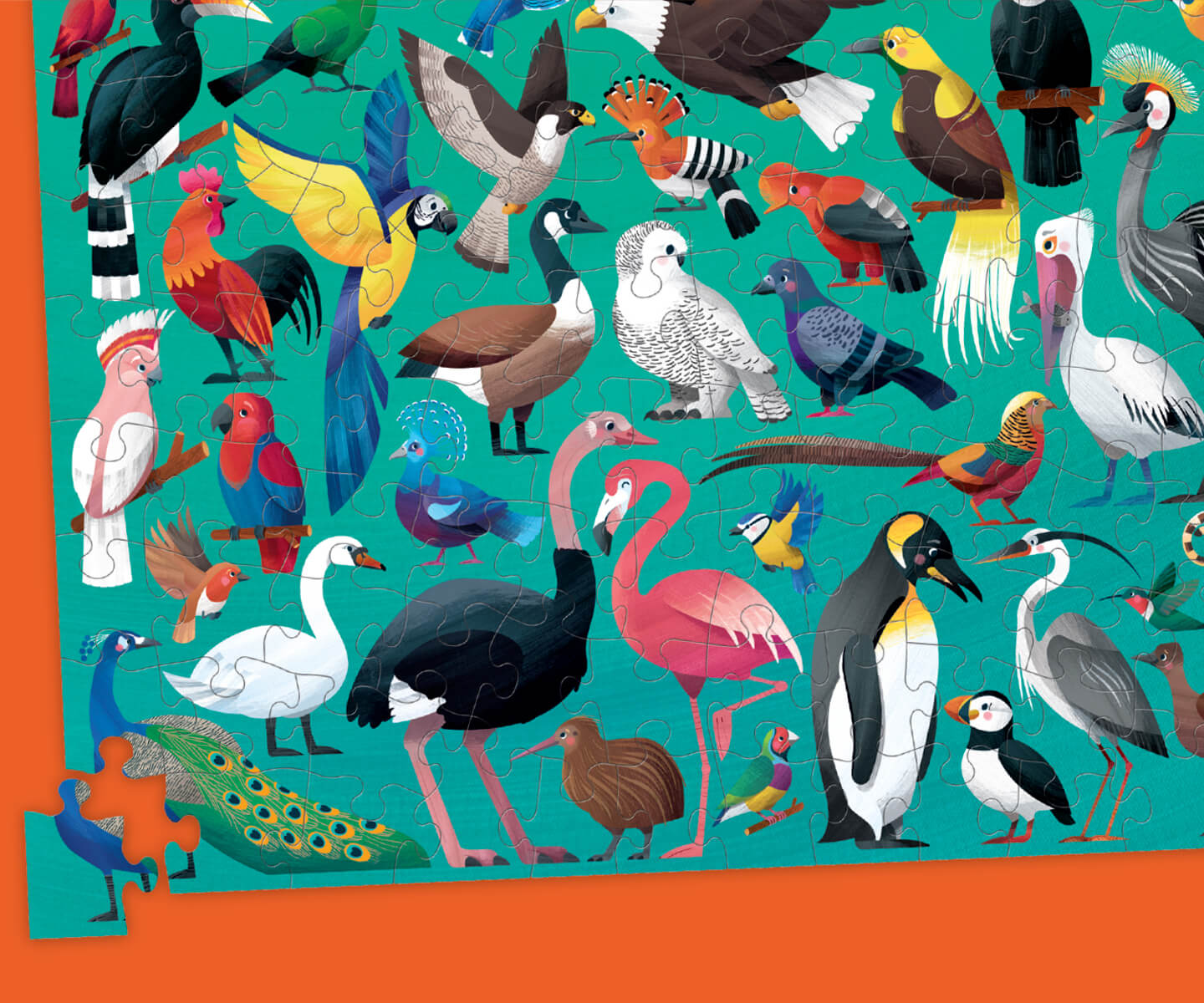 100-Piece Puzzle - 36 Beautiful Birds