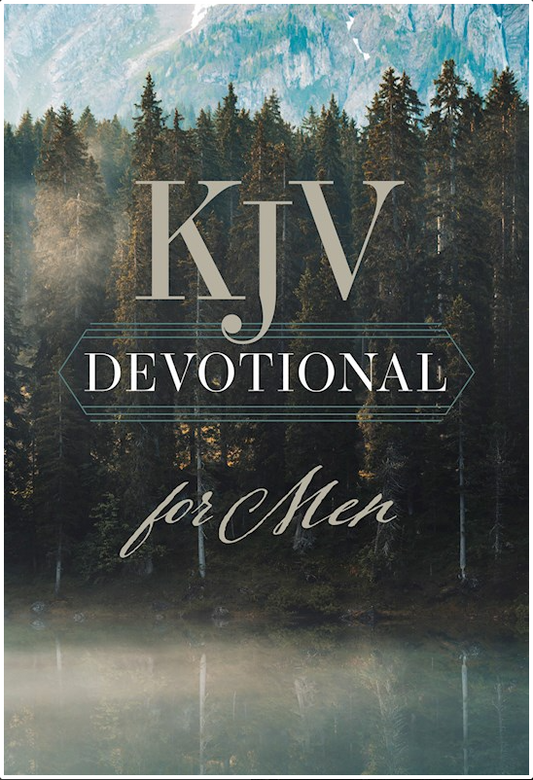 KJV Softcover Devotion Book and Pen Gift Set - Ordinary Moments. Extra