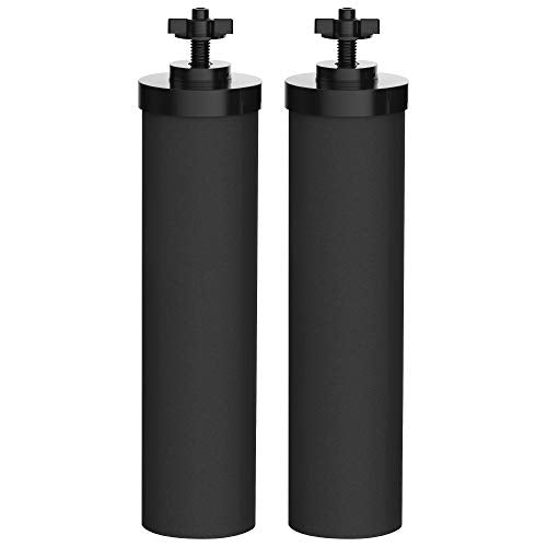 BB9-2 Replacement Filters Compatible with Black Berkey