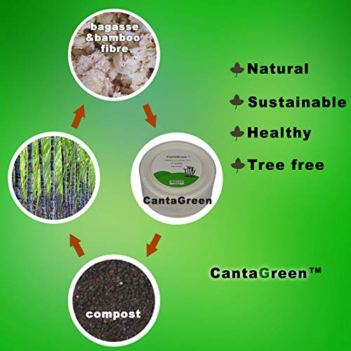 Pfas Free Bagasse Paper Plate Food Safety Disposable Biodegradable Paper  Plates Compostable Paper Plates 9 Inch Bulk - China Compost Tableware and  Plate price