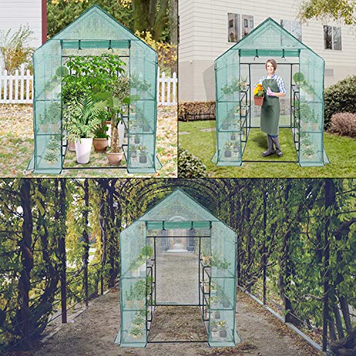 Mini Walk in Green House Home Garden Pvc Greenhouse With - Temu