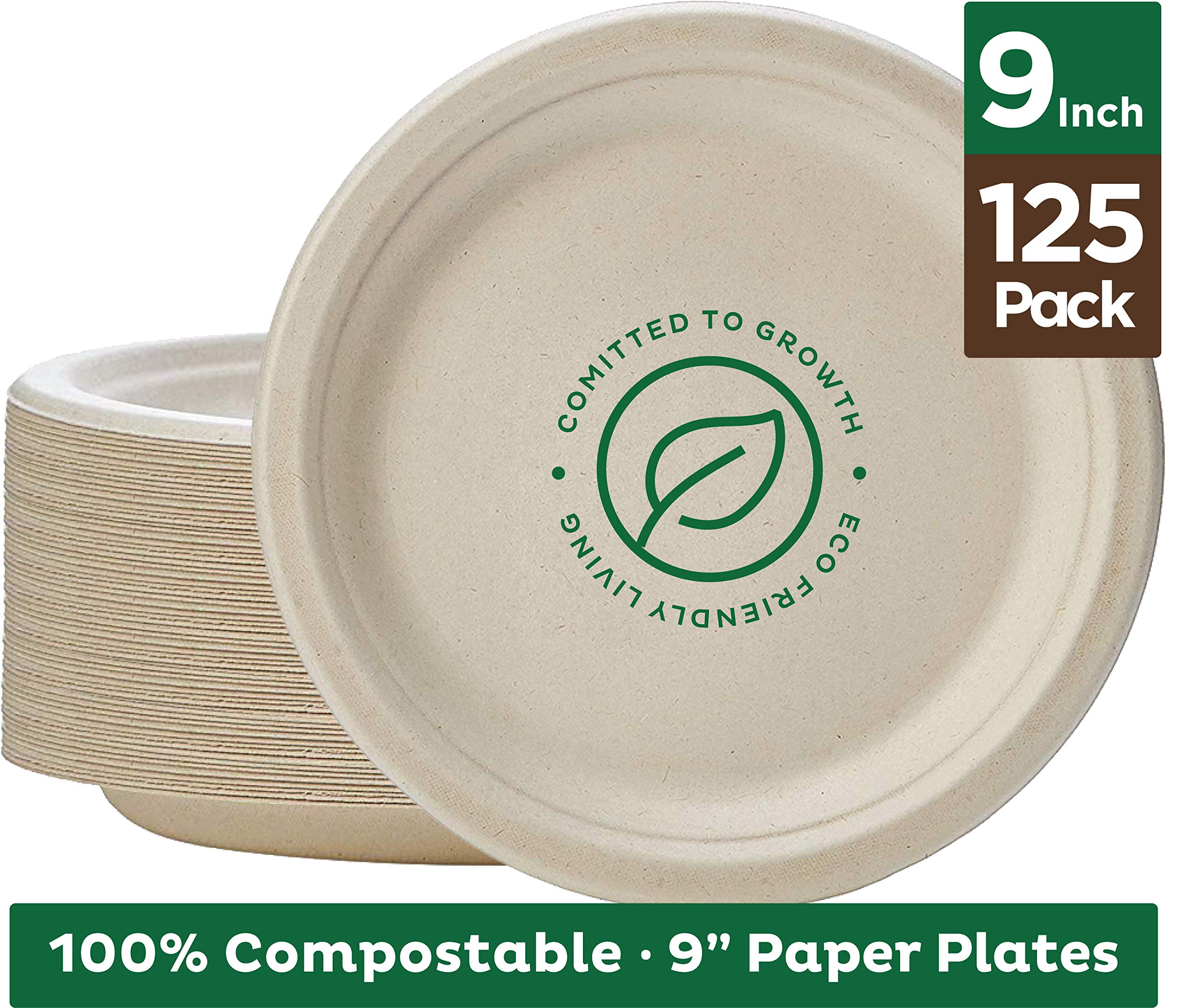 100 paper plates