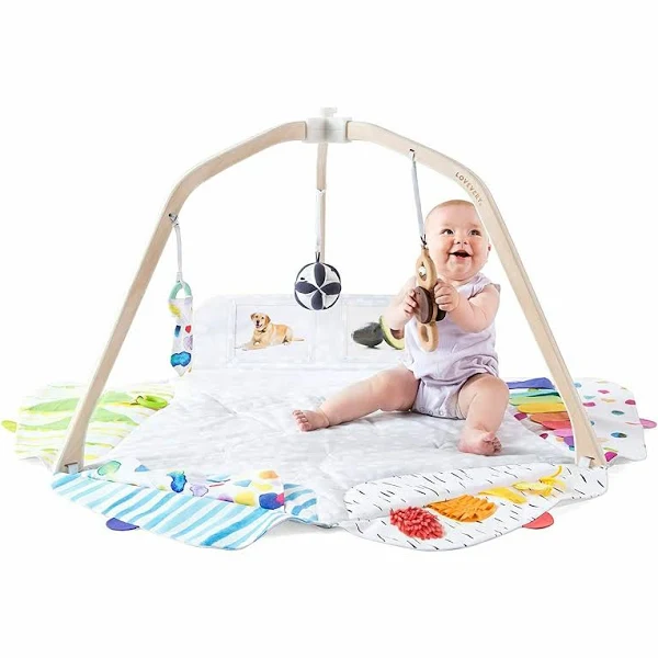 The Play Gym By Lovevery  Stage-based Developmental Activity Gym