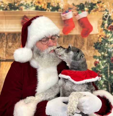 Santa Paws