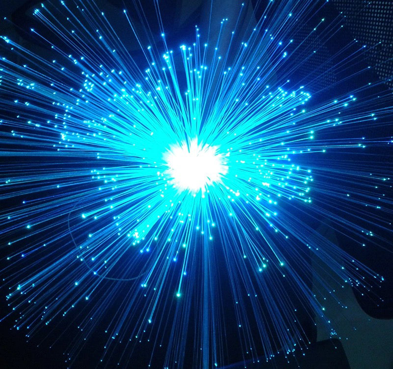 Fiber optic light