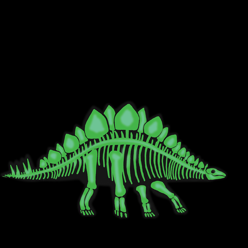 Stegosaurus 3D Dinosaur Puzzle – Shop Sweet Lulu