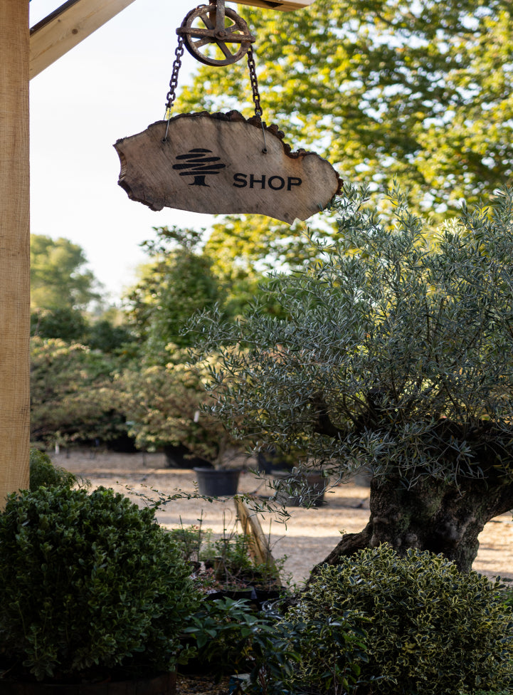 Arundel Arboretum wood label before shop enter