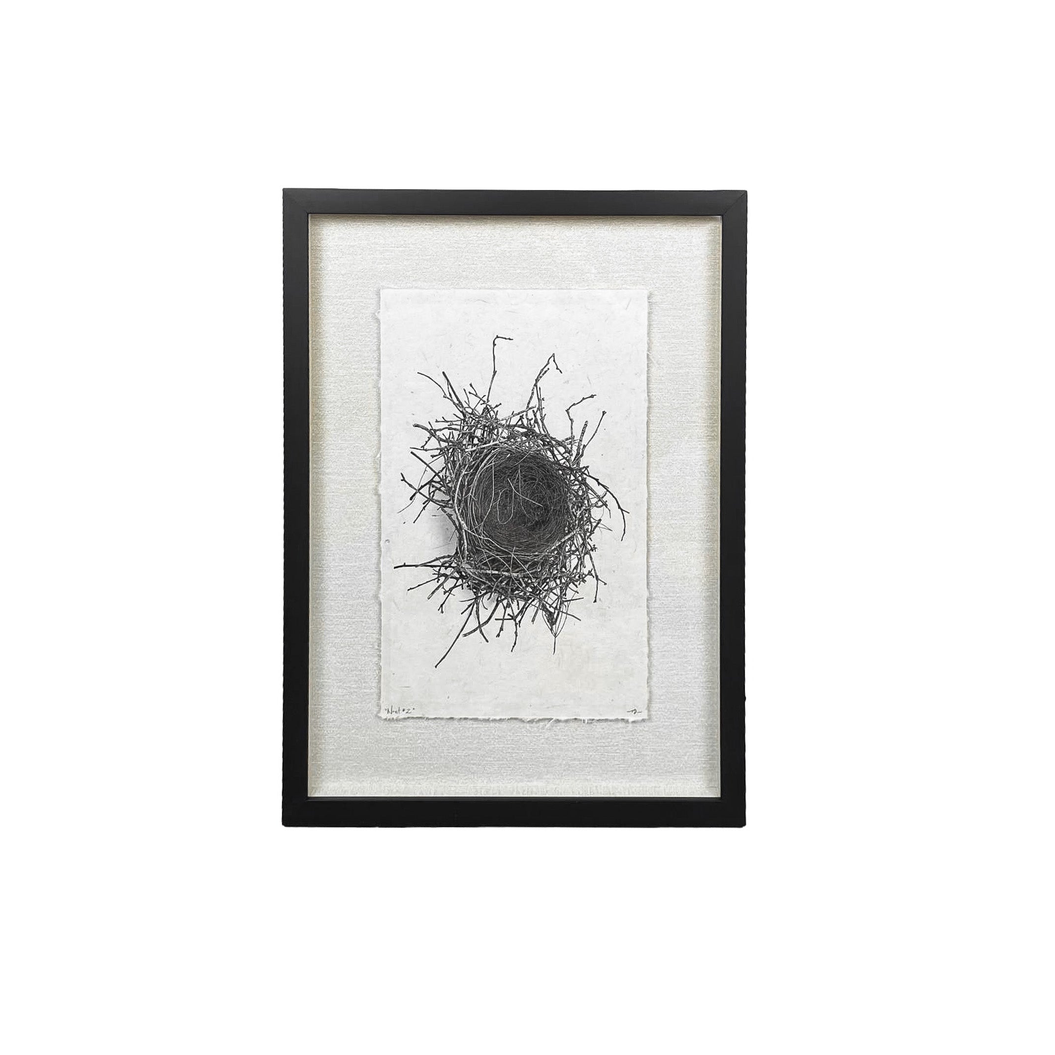 .Cream Bird Nest Print in Black Frame