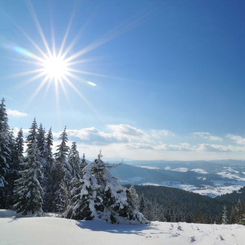 Paysage d'hiver en haute montagne : sapins et soleil