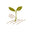 saltspringseeds.com-logo