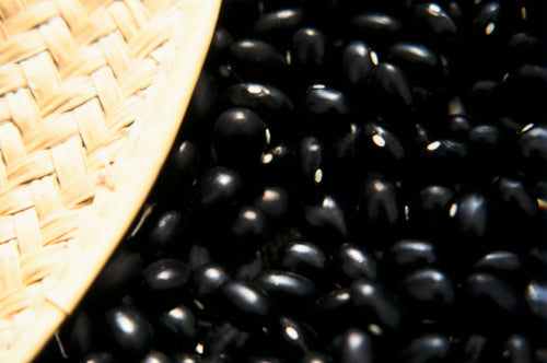 Black Turtle Beans - Salt Spring Seeds - Non-GMO/Heritage