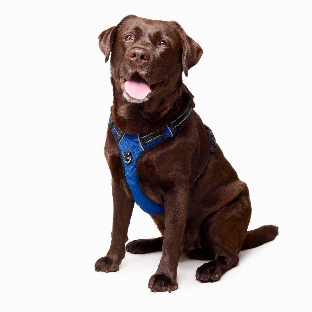 Fur King Ultimate No Pull Harness | Best No Pull Dog Harness | Sizes Small To XL - Fur King product image