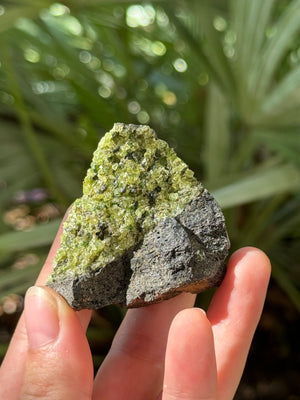 Peridot Freeform - Ruby Road Gems San Antonio 
