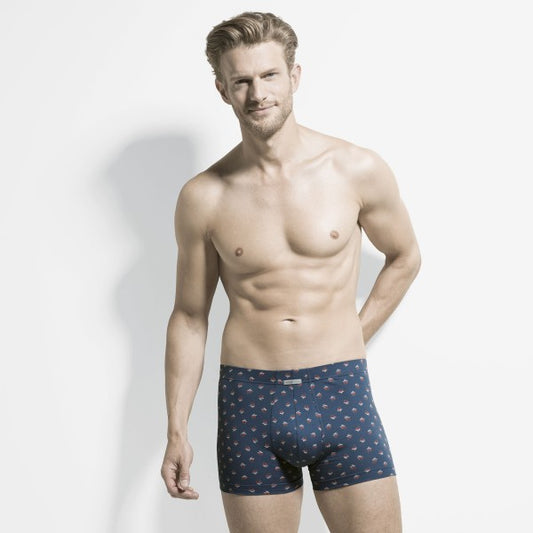 Grafic Cotton Brief