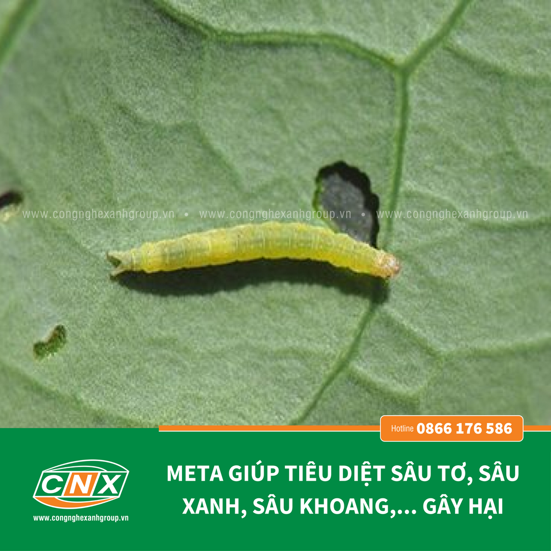 META - Phòng và tiêu diệt sâu cho cây trồng – Công nghệ xanh 4.0