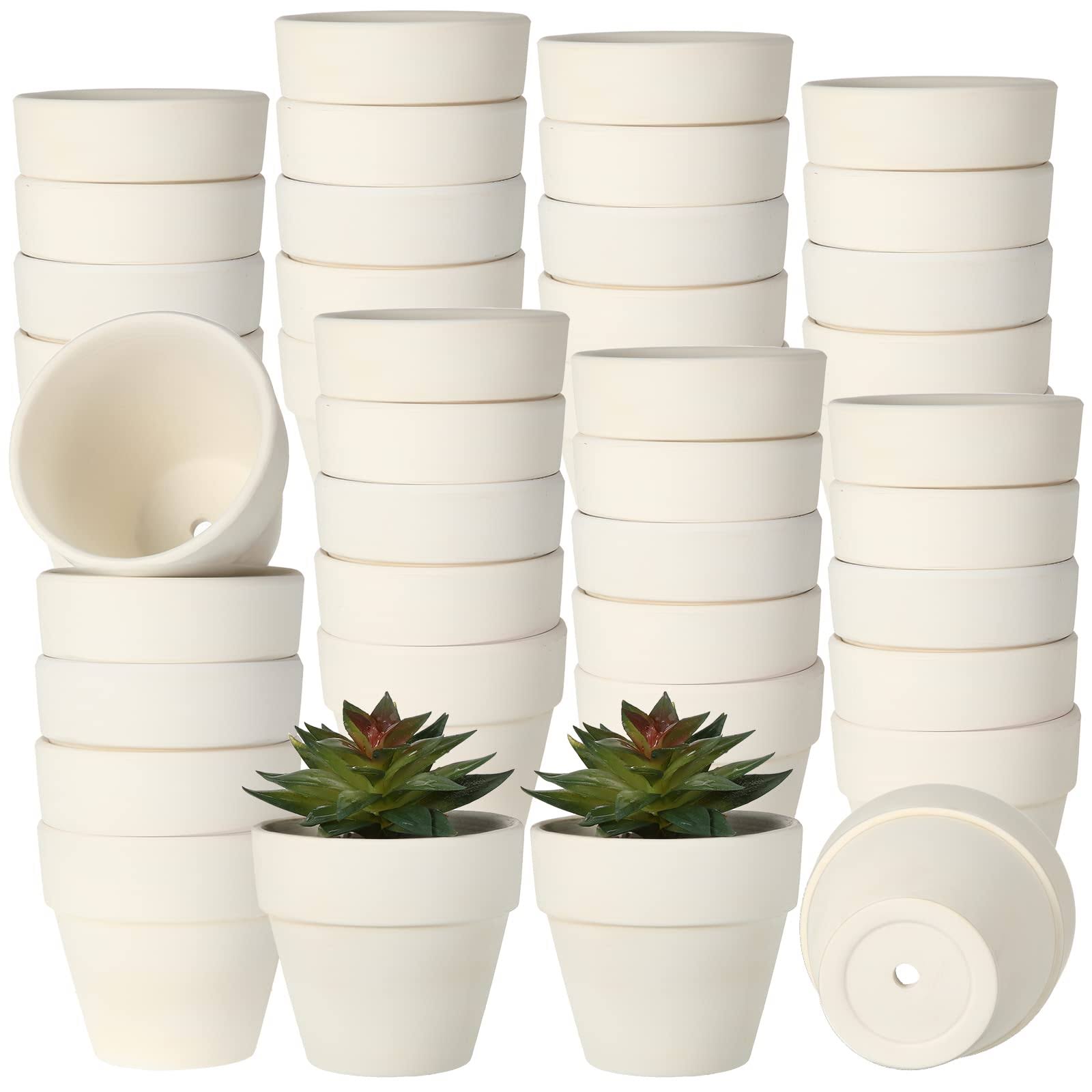 50 Pcs 1.2 inch Terracotta Pots Bulk Small Mini Clay Pots Tiny Miniature Cactus Flower Pots Succulent Plant Nursery Pots with Drainage Holes for JIZ8_Y3UOS38