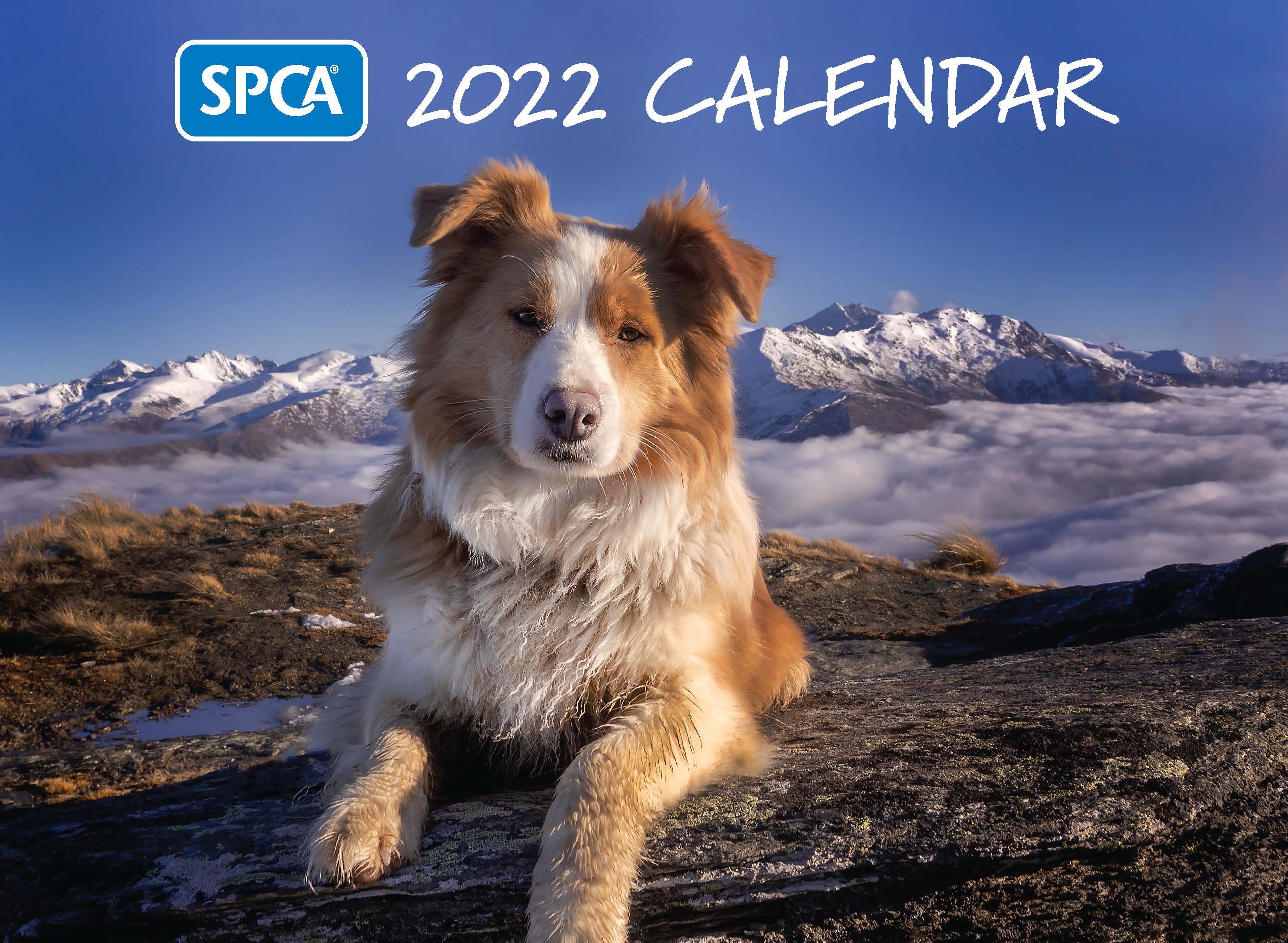 SPCA Webstore – spca