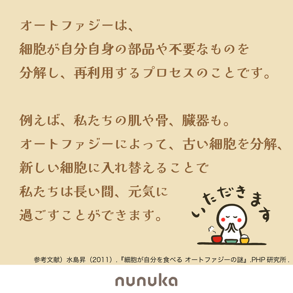 オートファジーは、細胞が自分自身の部品や不要なものを分解し、再利用するプロセスのことです。