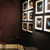 Alexander James Exhibition