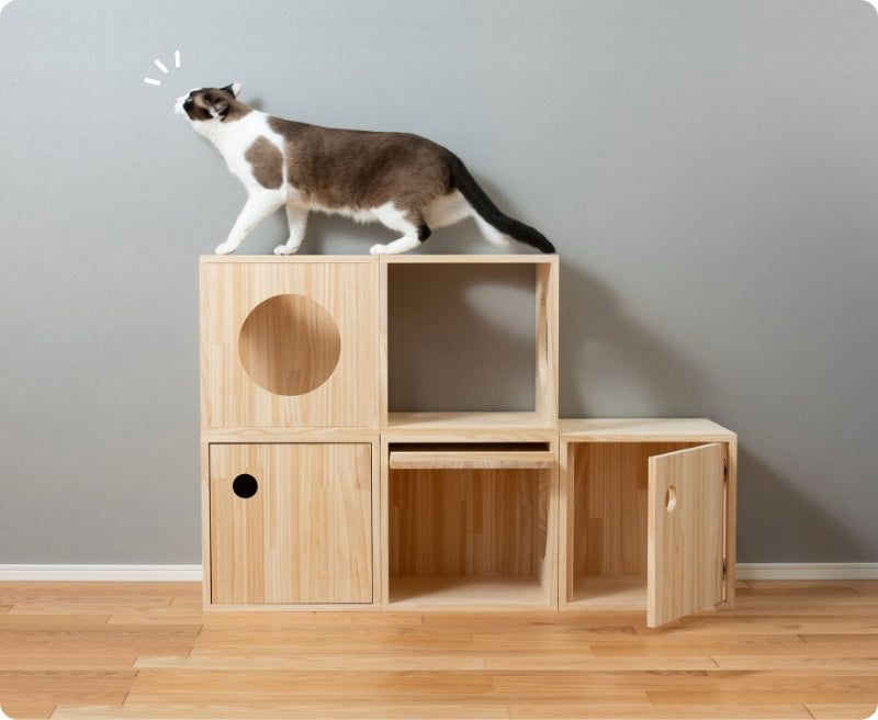 猫ハウス&キャットタワー 四角BOX④横扉丸 ｜ 猫のための木工所