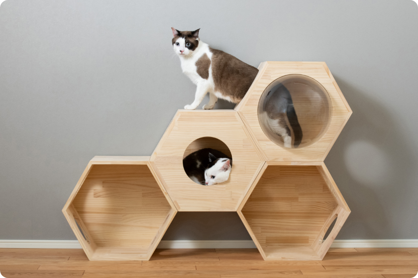 収納付きキャットタワー本棚 猫棚3段 ｜ 猫のための木工所