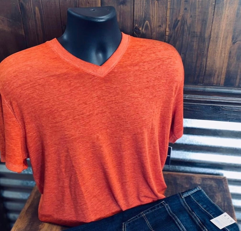 Vinice Burnout V Neck Tee