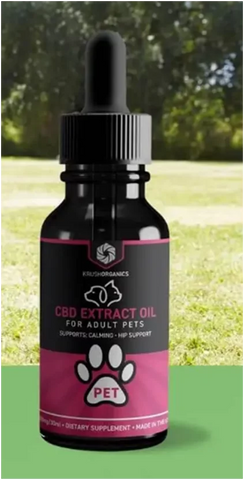 10 Best CBD Oil for Cats and Dogs for 2022