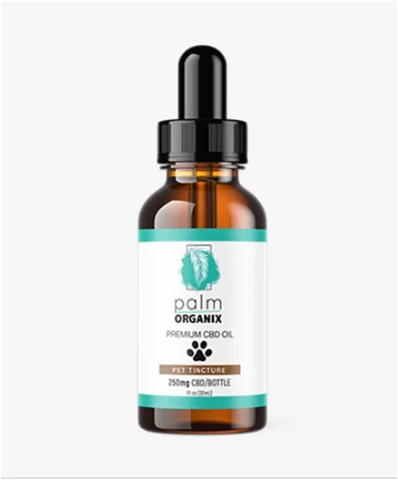 10 Best CBD Oil for Cats and Dogs for 2022