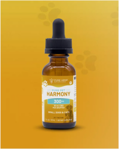 10 Best CBD Oil for Cats and Dogs for 2022