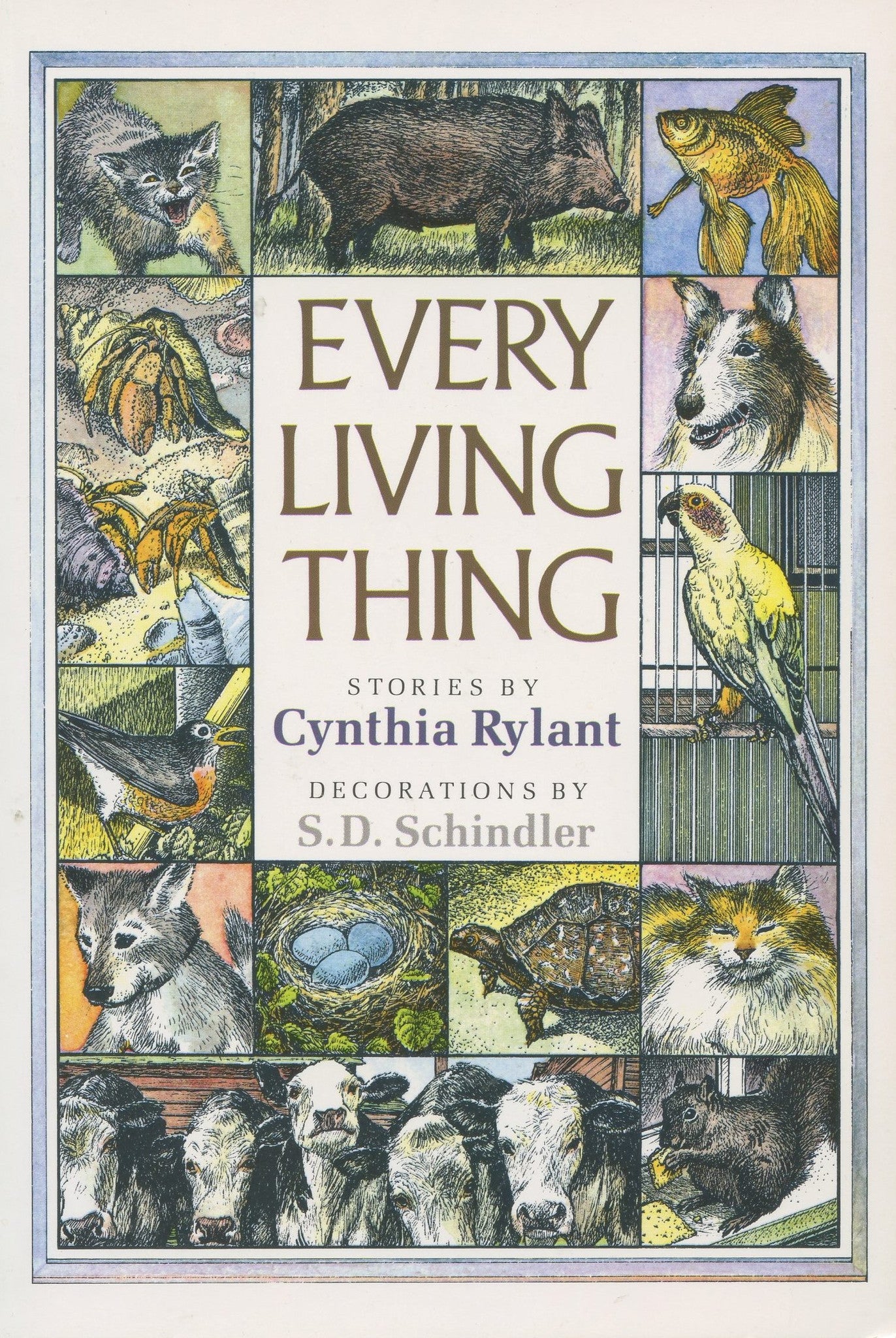 Everything story. Cynthia Rylant Shells question.