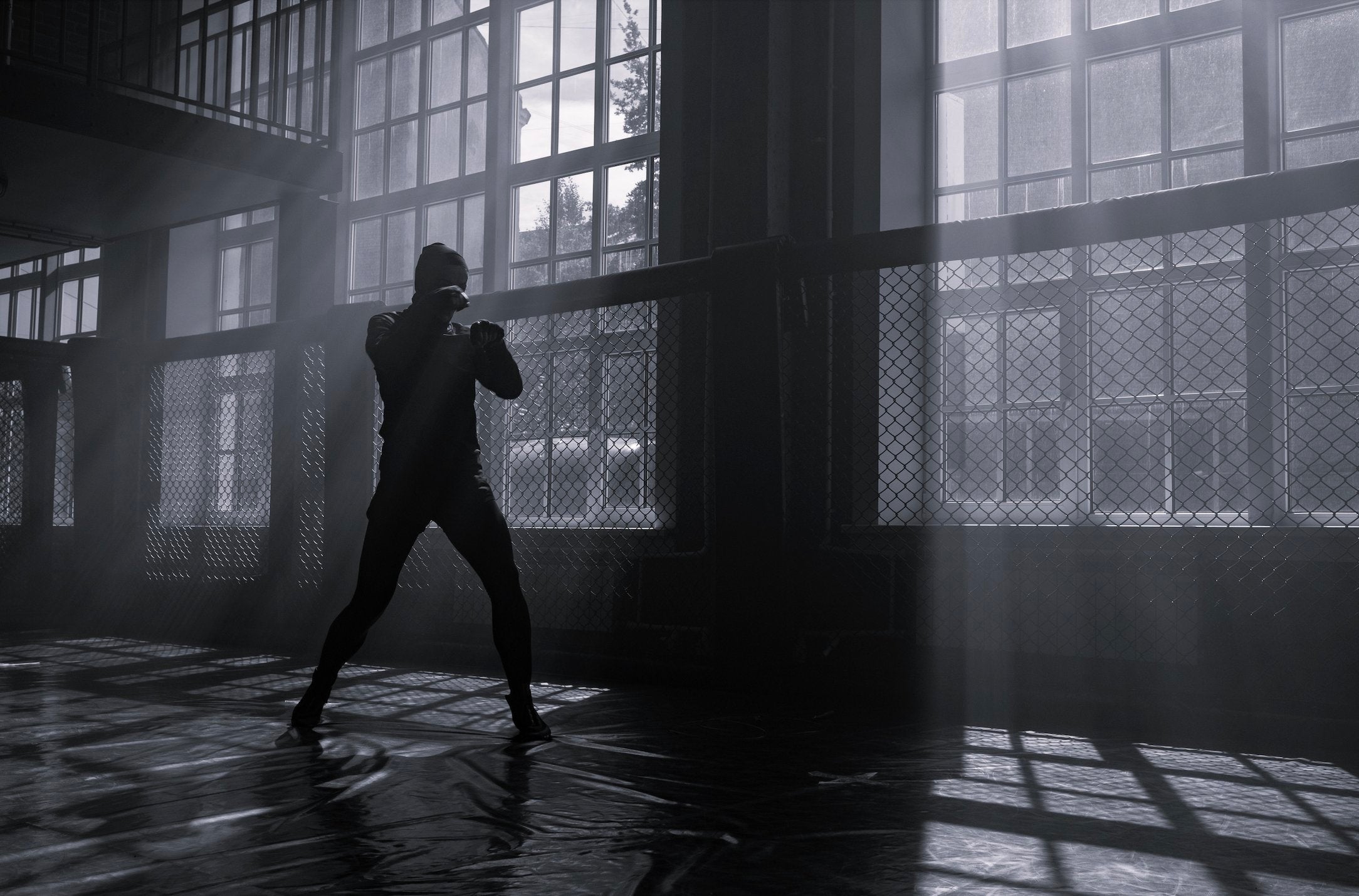 Shadow Boxing