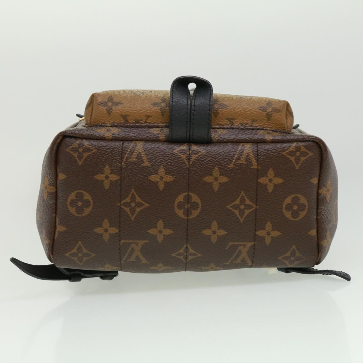 Louis Vuitton Monogram Canvas Palm Springs MM, myGemma, CH