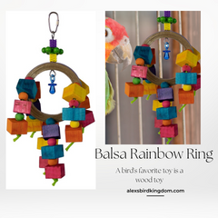 BALSA RAINBOW BIRD TOY