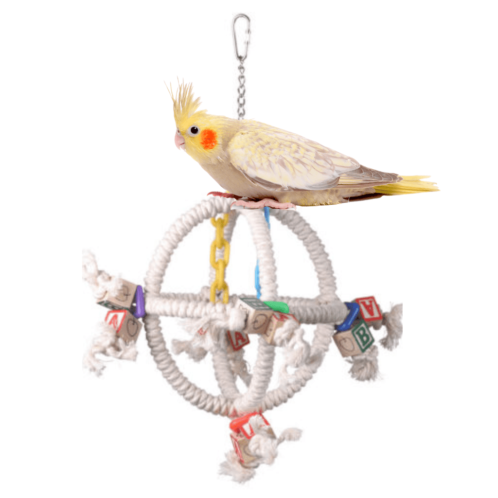 Bungee 1/2 x 52 Bird Toy – Alex's Bird Kingdom