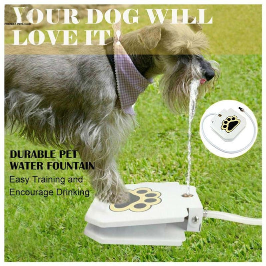 Elevated Adjustable Dog Bowl Stainless Steel Large Food Water Bowls –  Planet Pooch