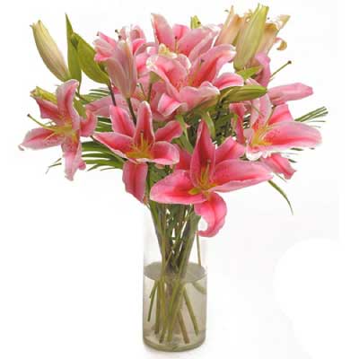 Bouquet of Pink Oriental Lily Flowers. Exclusive and Luxurious. Order for  Urgent Online Delivery