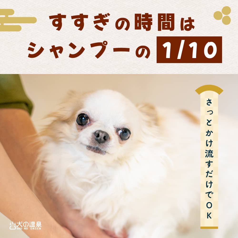 日本初の 温泉水 ※犬は別料金 | www.hexistor.com