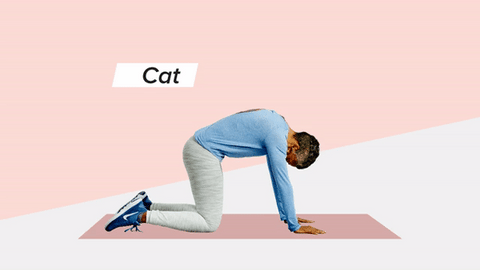 Women showing how to do cat-cow pose