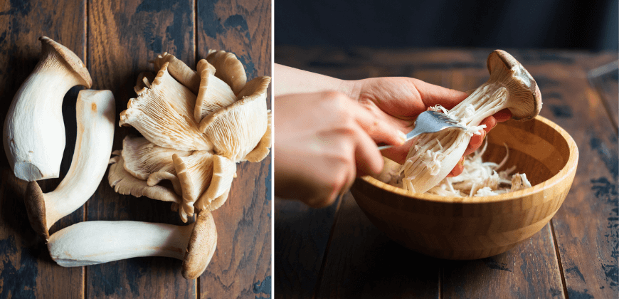 Vegane Pulled Mushrooms | Pulled Pilze | Kräuterseitlinge | Austernpilze