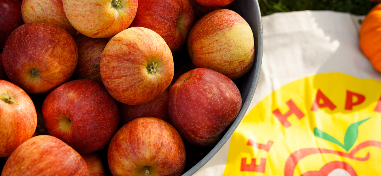 Äpfel vom Obsthof Appel Happel