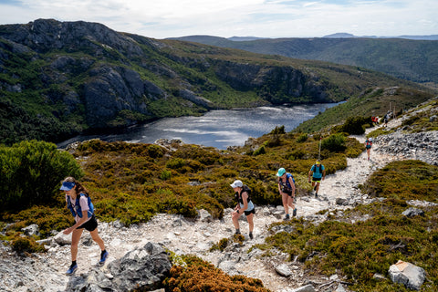 Overland Track North find your feet experience, a group of trail runners can been seen running along a steep gravel trail, a lake and lush green mountains can been seen in the background