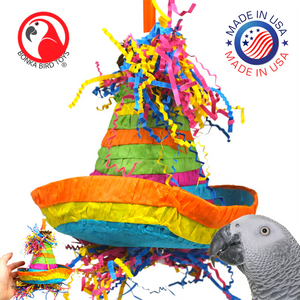 Pinata Hat - Aviary Bird Shop